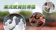 行政院農委會「禽流感資訊專區」